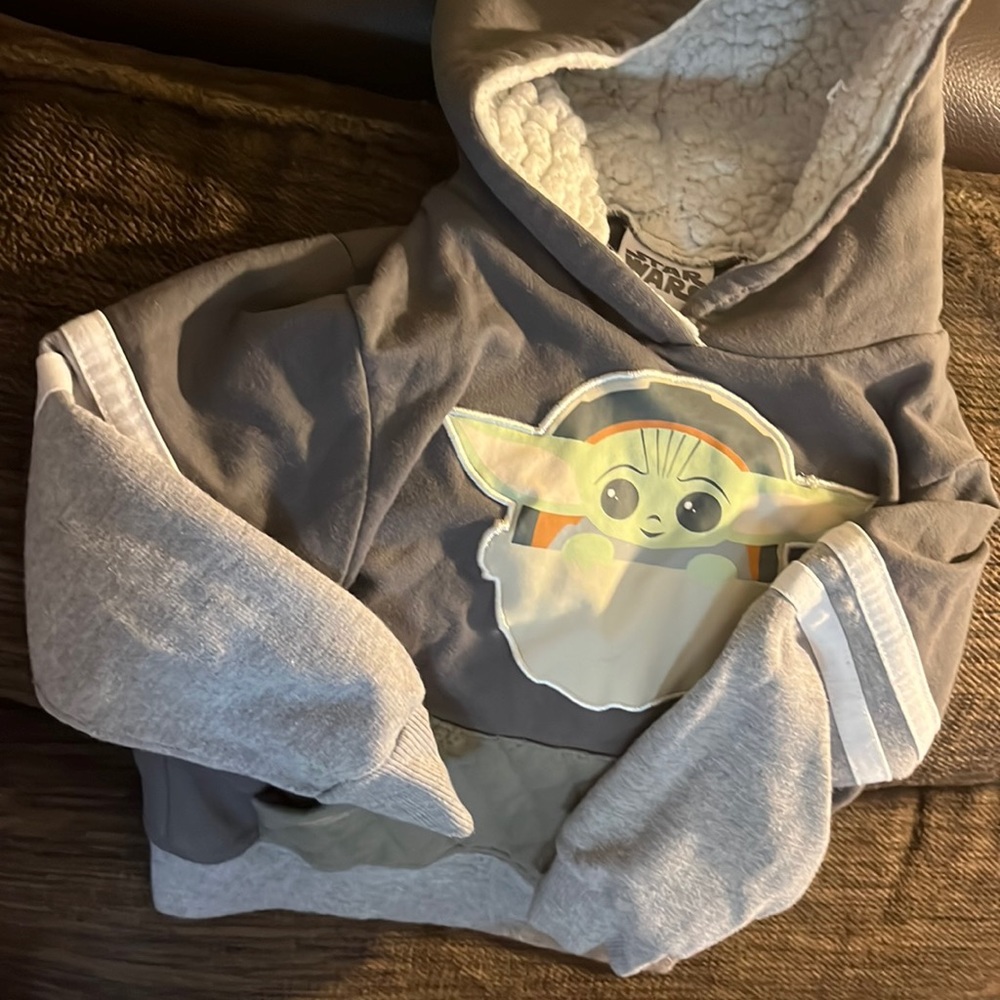 Baby Yoda Hoodie, lined (4T)